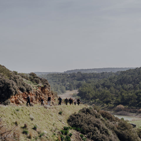 kolektif routes #5 - 22.02